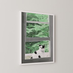 Framed art print of a cat looking from a window